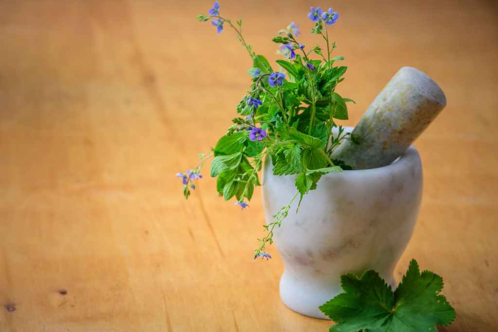 Essential Ayurvedic Principles for&nbsp;Wellbeing
